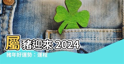 2024豬年運程1983|2024年83男豬為何會遇貴人？